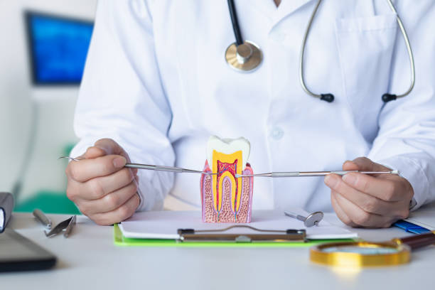Best Emergency Orthodontic Repairs in Thomas, OK